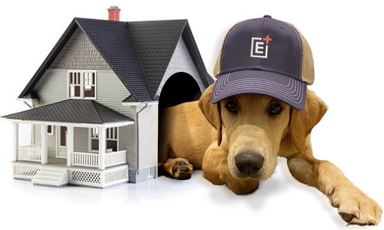 Outgrow Visual depicting business scalability and outgrowth services.